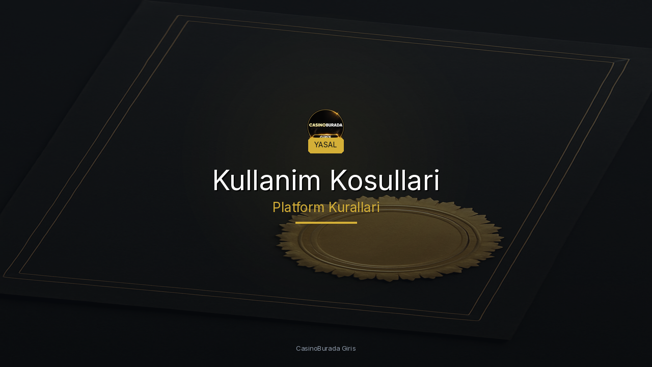 Kullanim Kosullari ve Sartlar